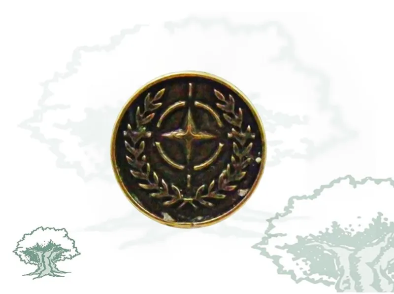 Pin OTAN