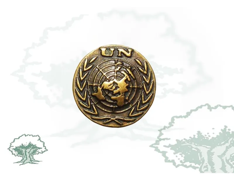 Pin Onu