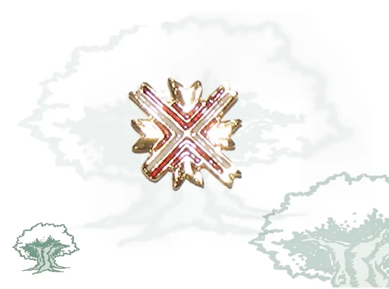 Pin Excombatiente Europeo