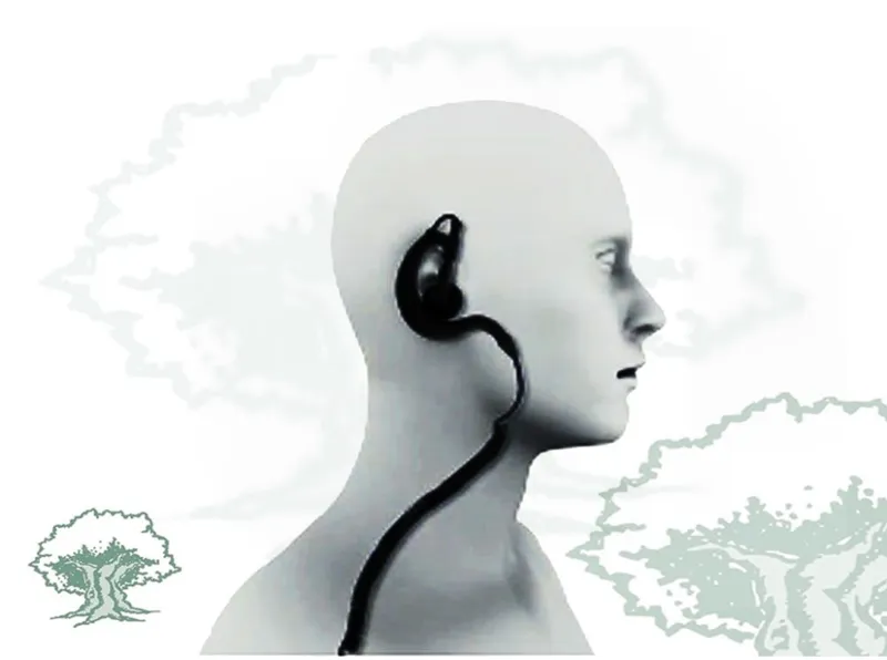 Micro Auricular Pin 229 TPH 700