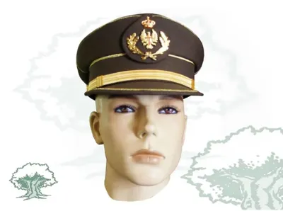 Gorra de Plato Oficial Ejército