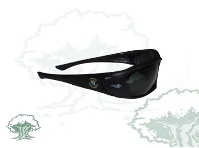 Academia de la Guardia Civil - Pegaso