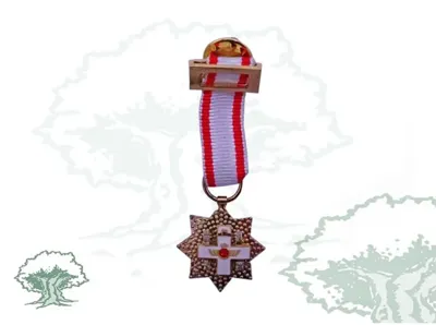 Placa Mérito Aeronaútico Miniatura