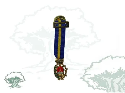 Medalla Ciudad de Algeciras Miniatura