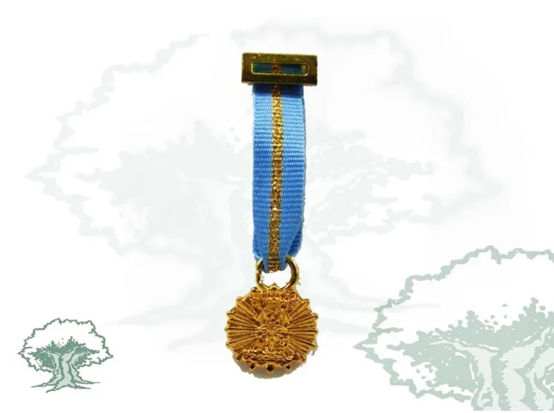 Medalla Solidaridad Junta de Andalucía Miniatura