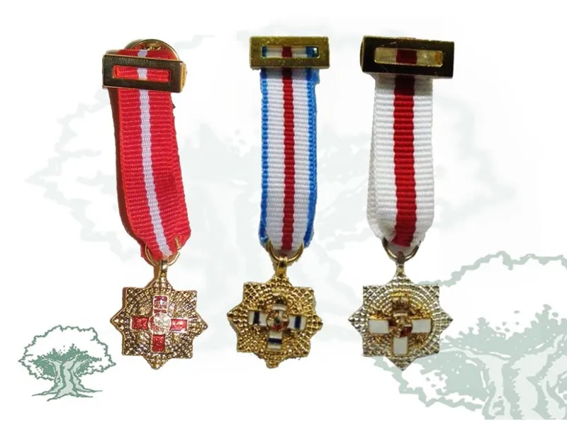 Placa Mérito Militar Miniatura