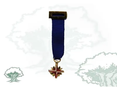 Medalla Excombatiente Europeo Miniatura