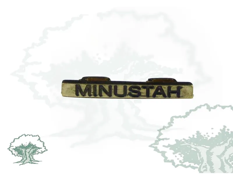 Barra Misión Minustah