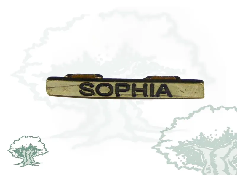 Barra Misión Sophia