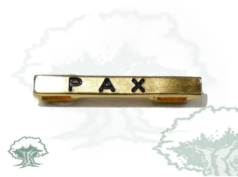 Barra Misión PAX