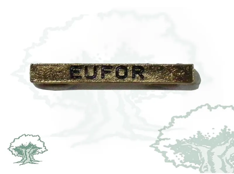 Barra Misión EUFOR