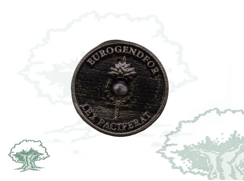 Pin Eurogendfor