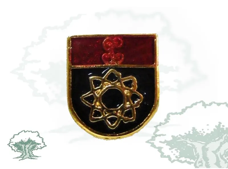 Pin Informática Guardia Civil de Solapa
