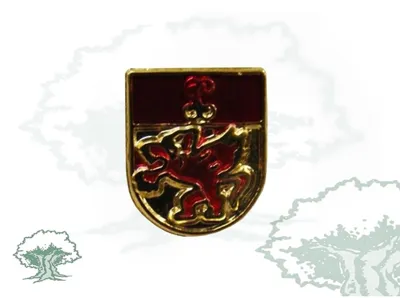 Pin UEI Guardia Civil de Solapa