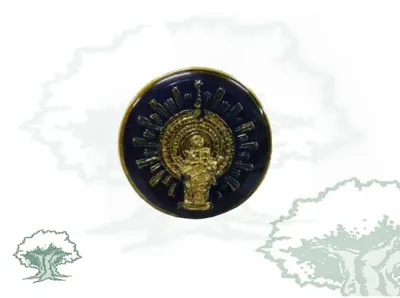 Pin Virgen del Pilar Circular