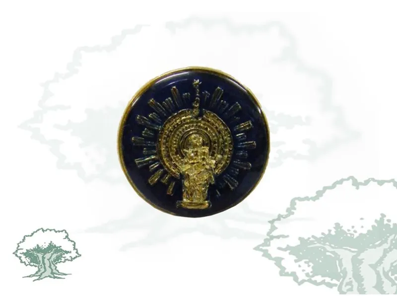Pin Virgen del Pilar Circular