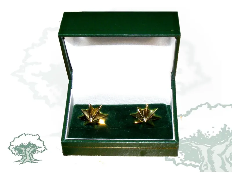 Estrellas 8 Puntas de · Plata