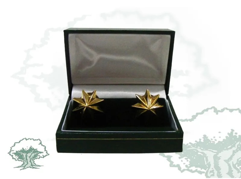 Estrellas 8 Puntas Bañadas en · Oro