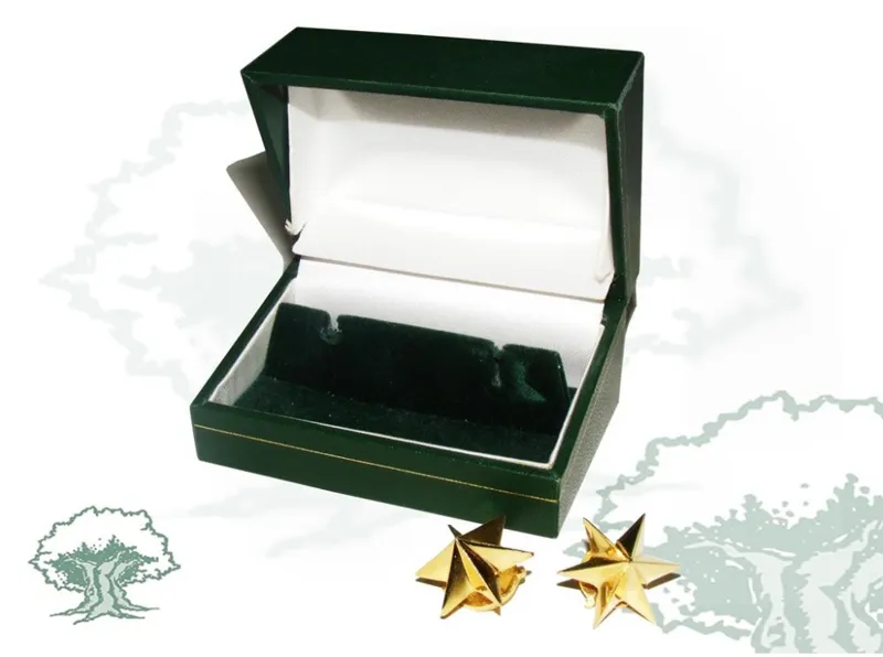 Estrellas 6 Puntas de · Plata