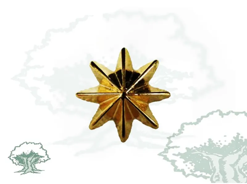 Estrella 8 Puntas
