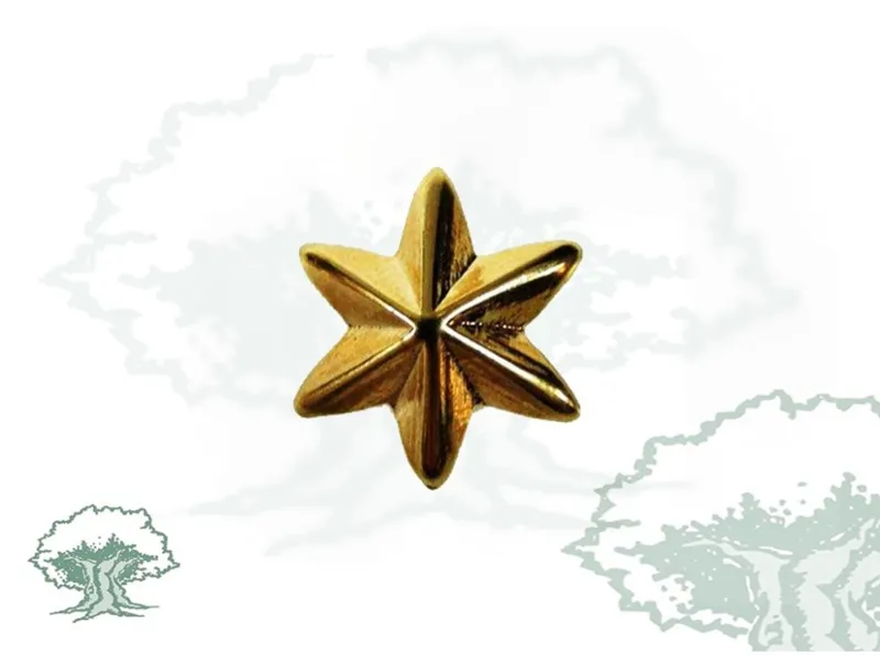 Estrella 6 Puntas