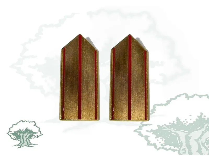 Galones Brigada