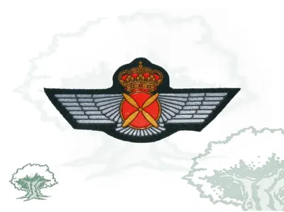 Roquisqui Piloto Aeronaves