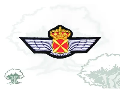 Roquisqui Piloto Aeronaves Bordado