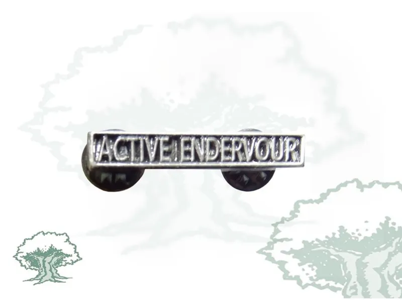Barra Medalla Active Endervour