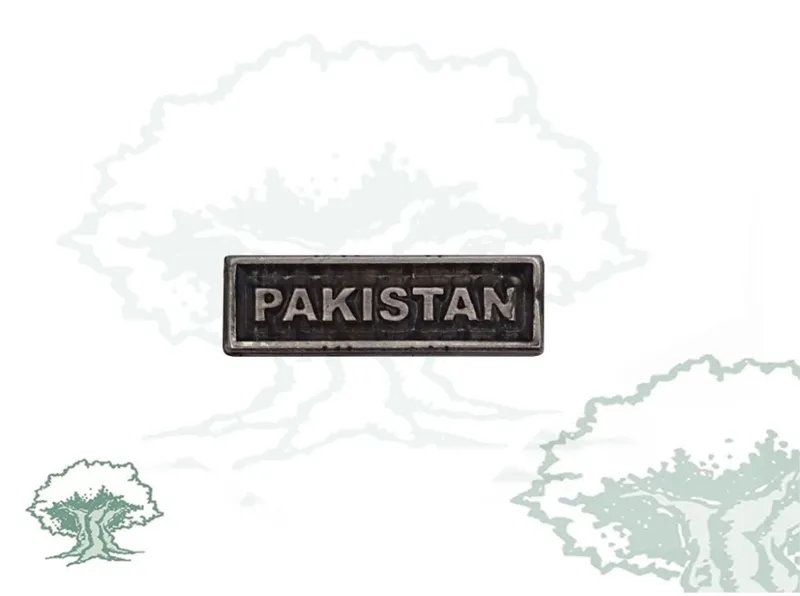 Barra Pasador Pakistán