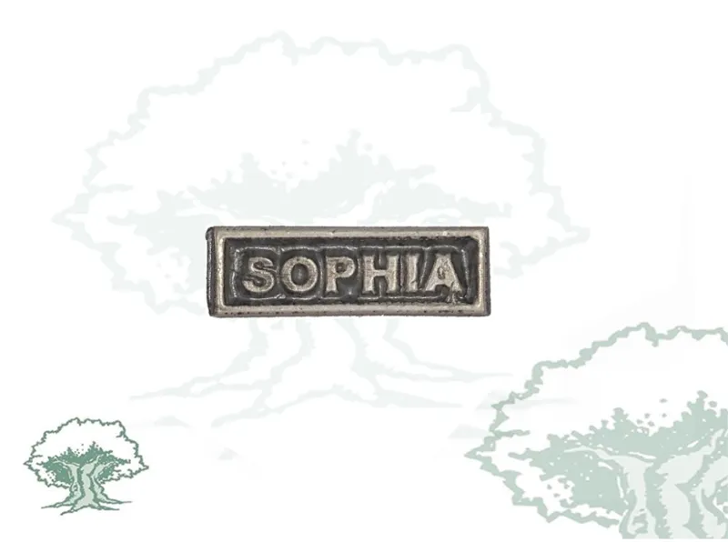 Barra Pasador Sophia