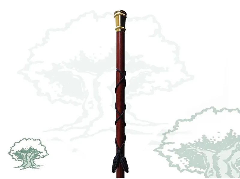 Bastón de Mando Coronel