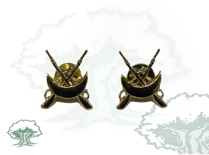 Emblemas Regulares Ejército para Cuello