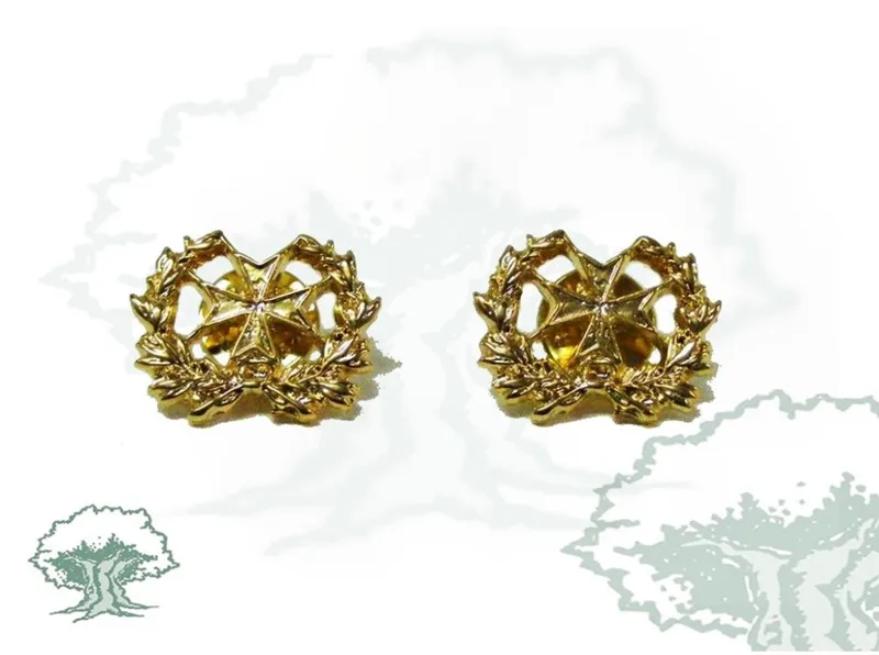 Emblemas Sanidad Ejército para Cuello