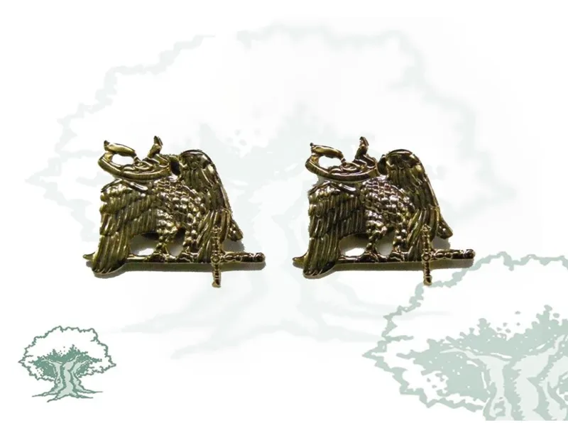Emblemas Especialistas Ejército para Cuello
