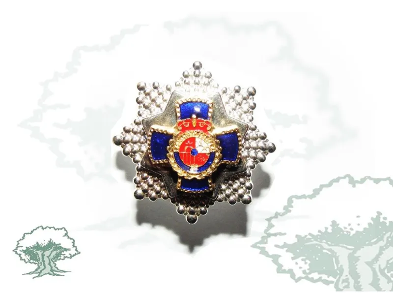 Pin Placa Dedicación Policial
