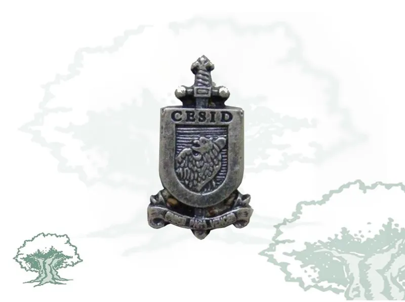 Pin CESID Policía Nacional