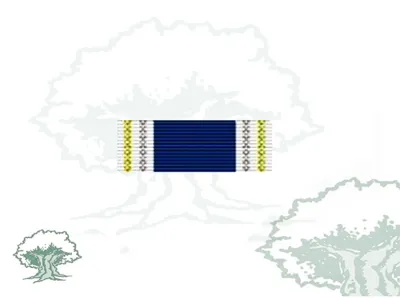 Pasador Medalla OTAN (Servicios Meritorios)