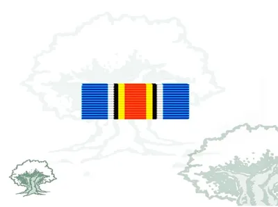 Pasador Medalla ONU (UNMIT)