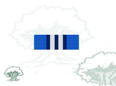 Pasador Medalla ONU (UNMIS)
