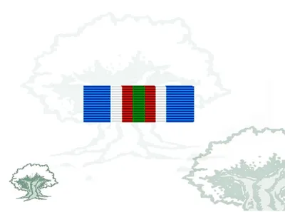 Pasador Medalla ONU (ONUB)