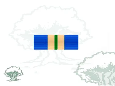Pasador Medalla ONU (UNMEE)
