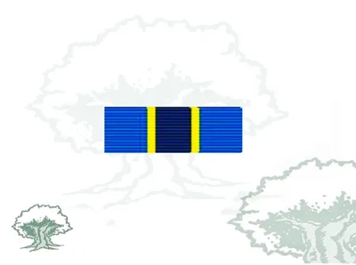 Pasador Medalla ONU (MONUC)