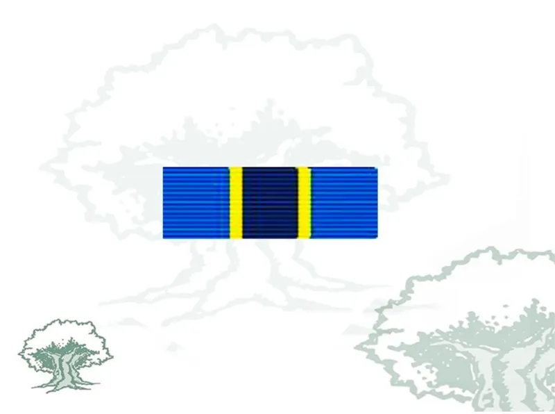 Pasador Medalla ONU (MONUC)