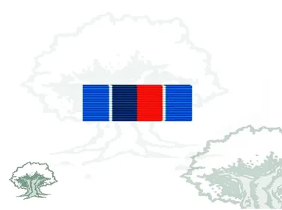 Pasador Medalla ONU (UNMIH)