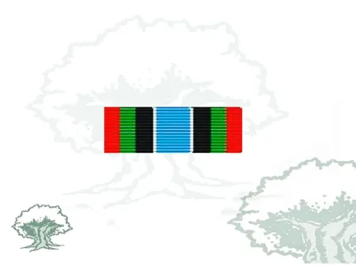 Pasador Medalla ONU (Unamir)
