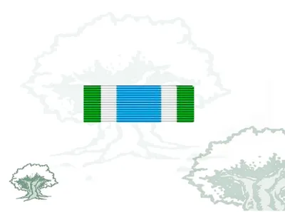 Pasador Medalla ONU (Onumoz)