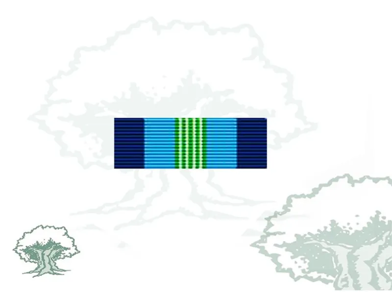 Pasador Medalla ONU (ONUCA)
