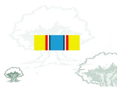 Pasador Medalla ONU (Unavem)