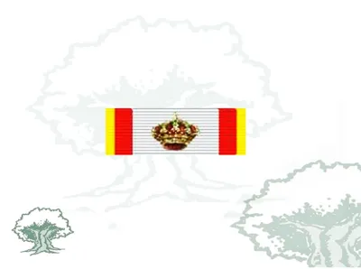 Pasador Gran Cruz Mérito Aeronautico Distintivo